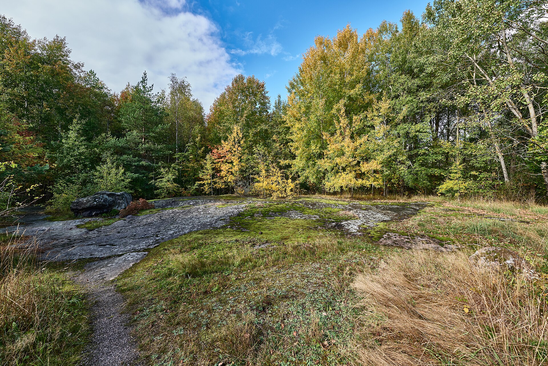 Keskuspuiston syksyinen metsämaisema kallioilla Helsingissä
