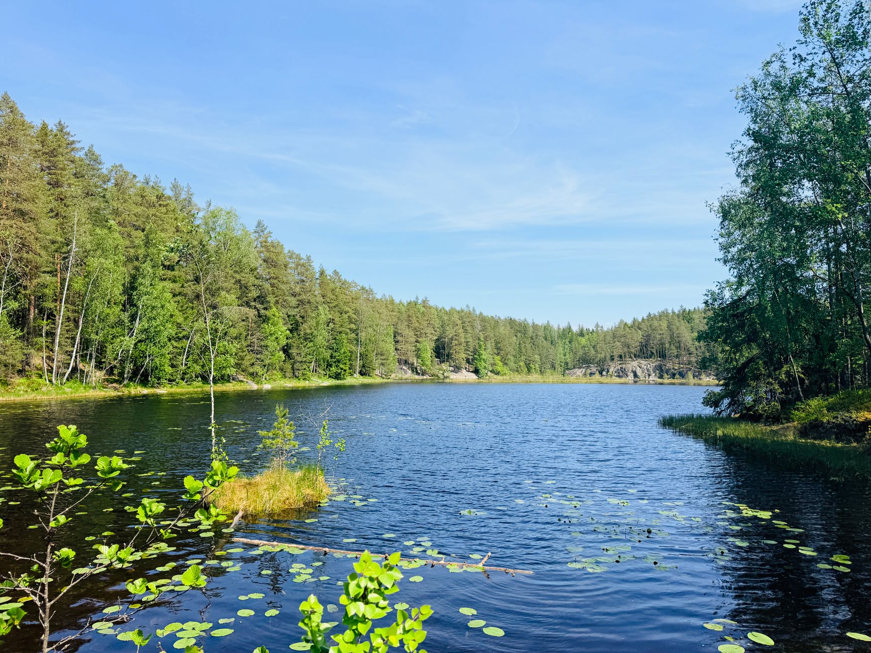 Nuuksion kansallispuiston syksyistä kuusimetsää ja polku