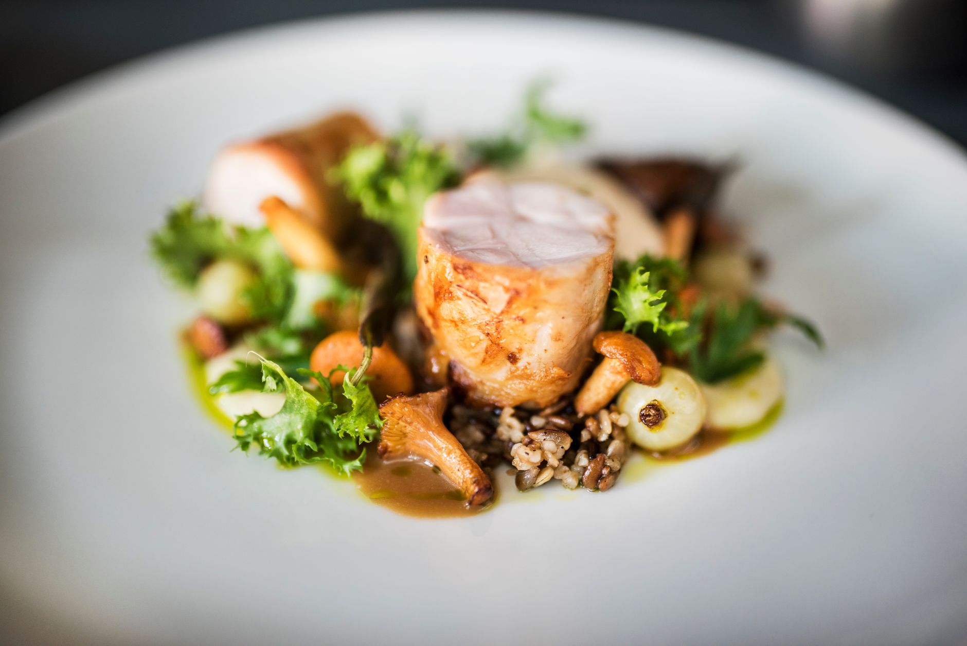 Hienostunut fine dining -annos lautasella, kuten Palacen maistelumenussa