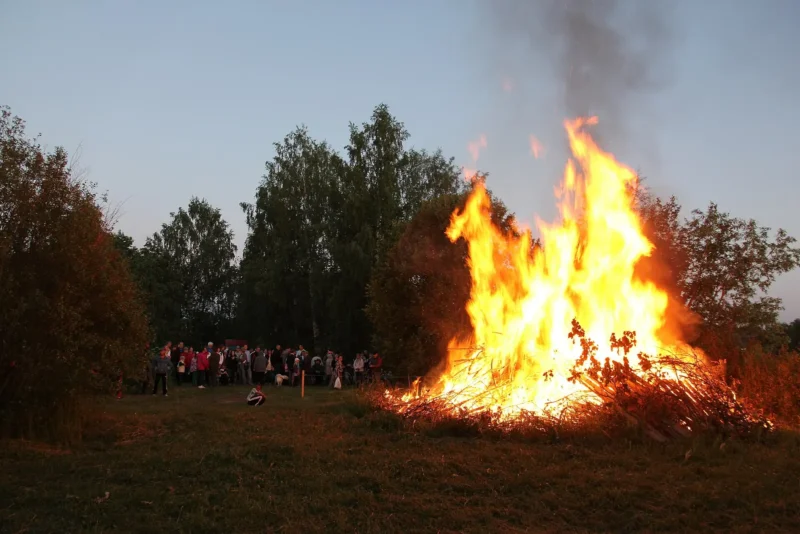 Suuri juhannuskokko roihuaa hämärtyvässä illassa, yleisö katselee koivujen edessä